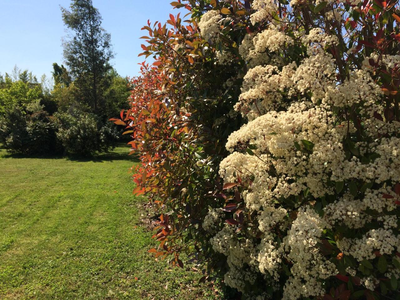 La Villa Bolero Saint-Cyr-sur-Loire Luaran gambar
